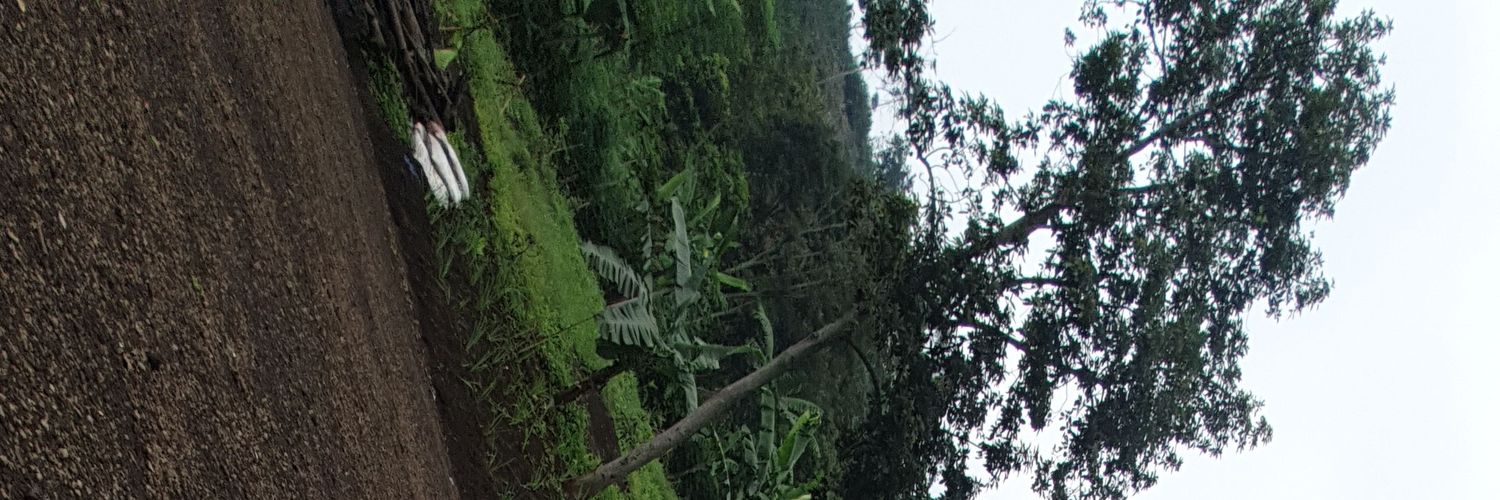 baresto's profile banner image