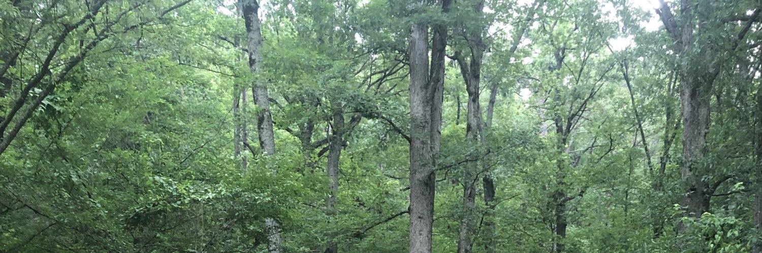 William S. Davis banner