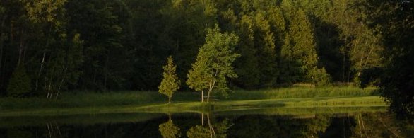 NDtotheP's profile banner image