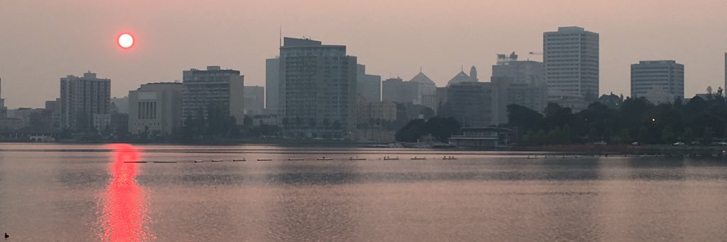 DaryushNadimi's profile banner image