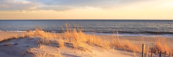 HomelessHampton's profile banner image