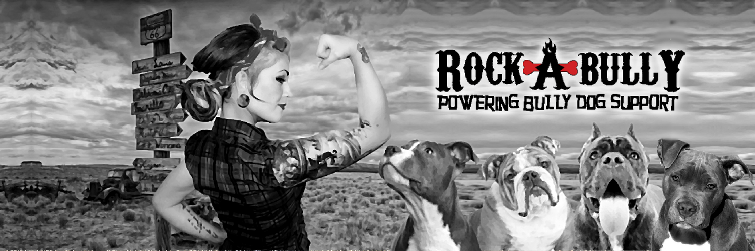TheRockABully's profile banner image