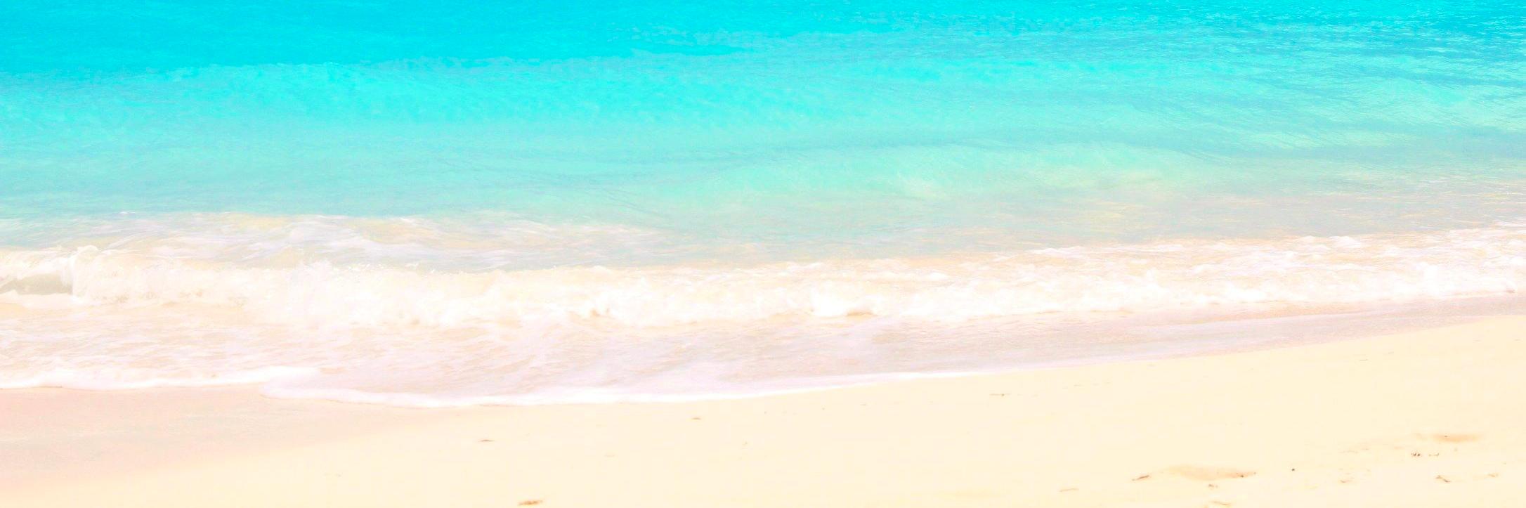 TruthSeeker banner