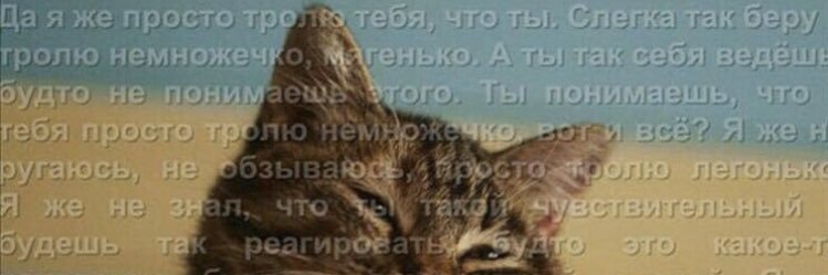 mxmsrgmnv's profile banner image