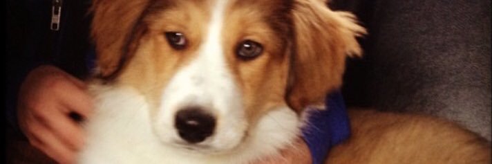 jakewalter_'s profile banner image