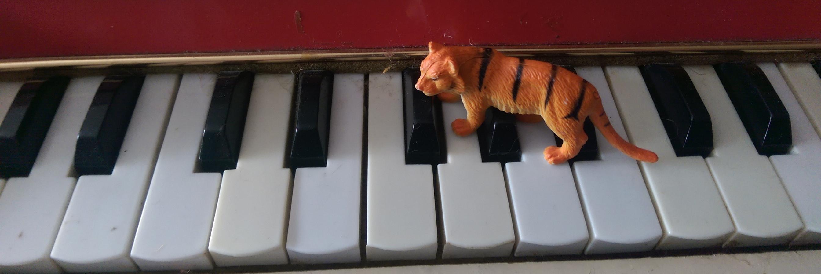 Daniel Padden banner