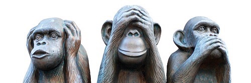 MonkeyEthics's profile banner image