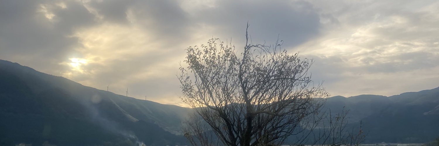 のめじ banner