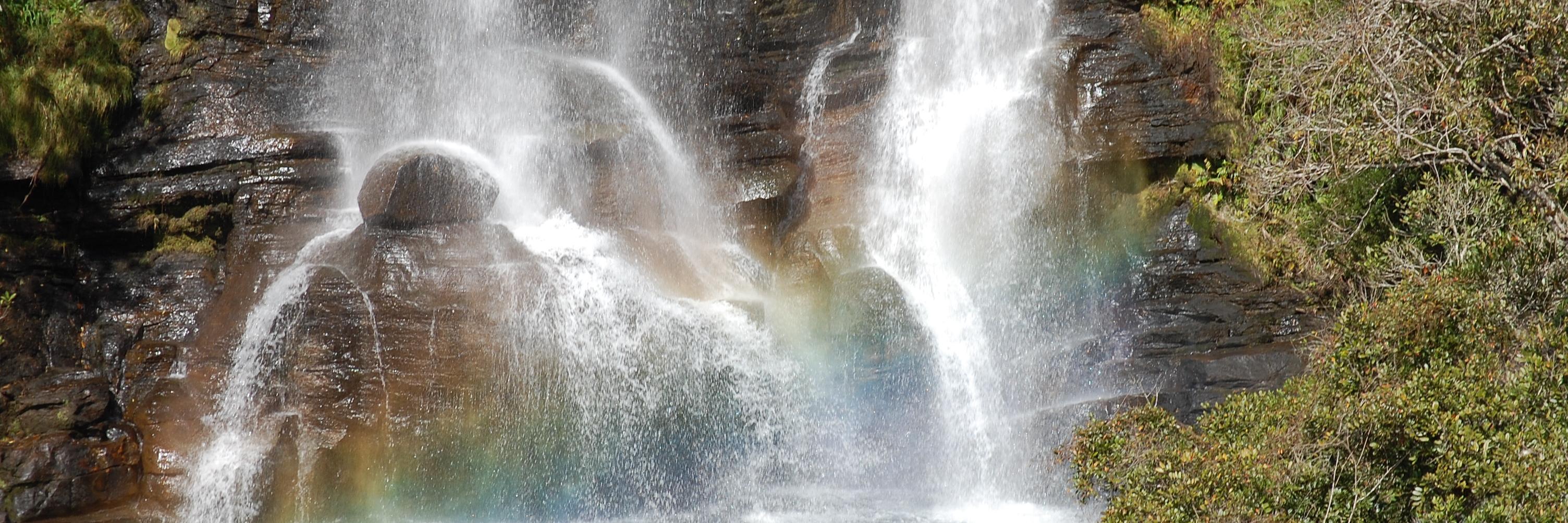 Gustavo Farah banner