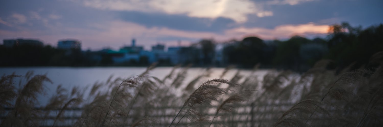 サトー悦司/Etsuji Sato banner