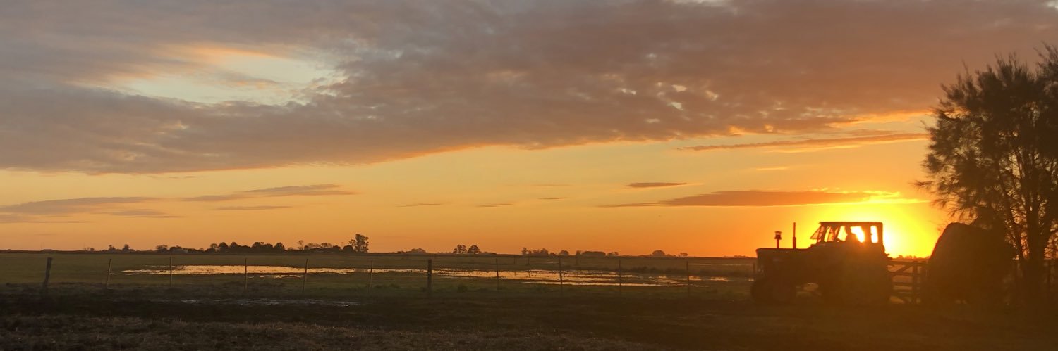 Omar Principe banner