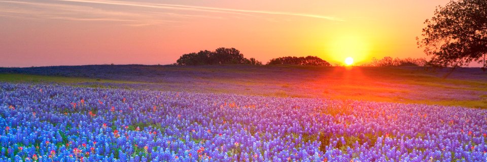 NewTXDemocrats's profile banner image
