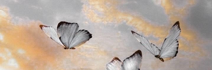 peachyfames's profile banner image