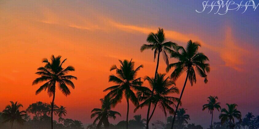 shambhav's profile banner image