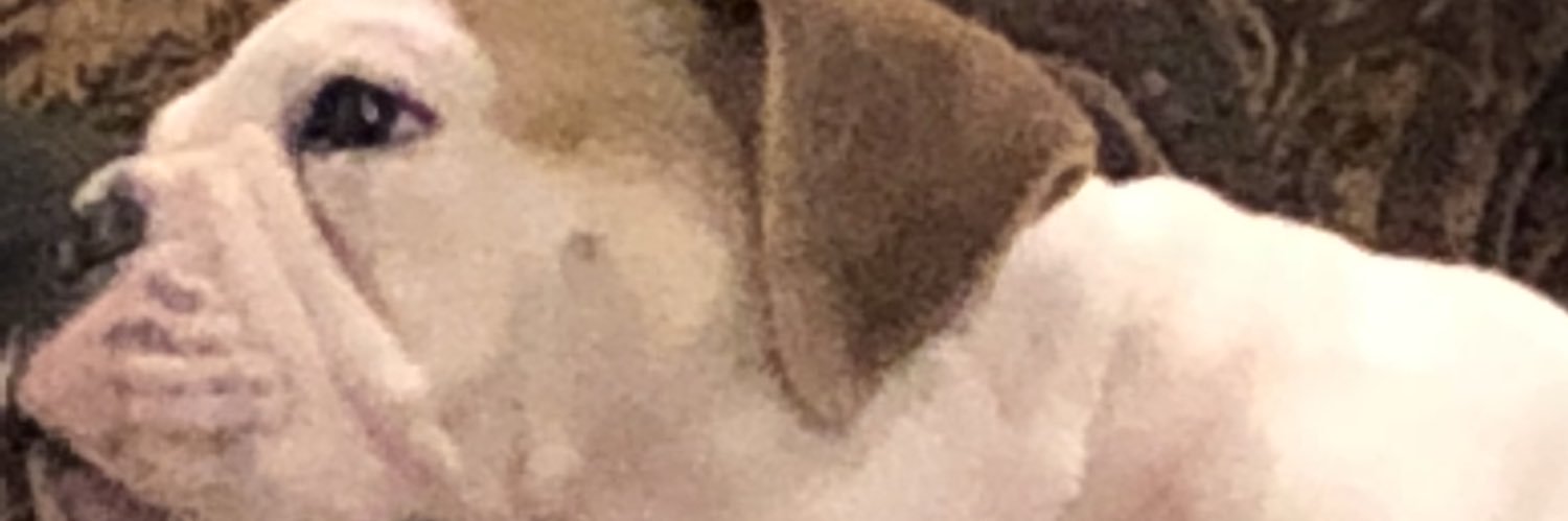 Don_Clevenger's profile banner image