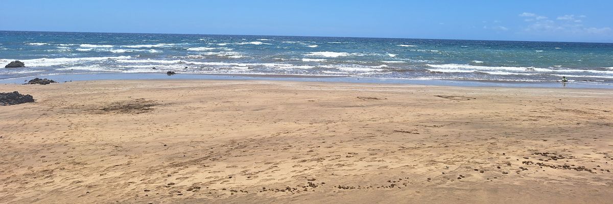 patrosesson's profile banner image