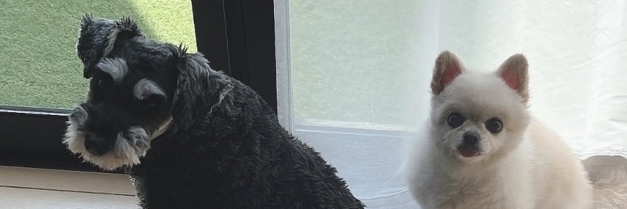 しゅなとコロン banner