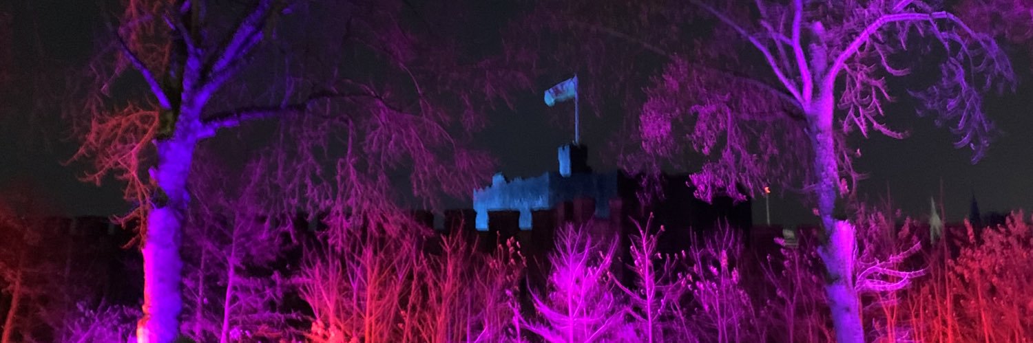 suzanneecarter's profile banner image