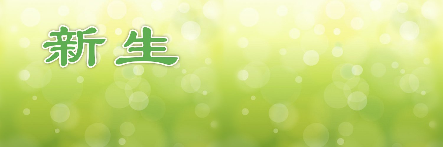 XinShengNet's profile banner image