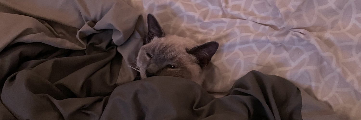 ashleysurh's profile banner image