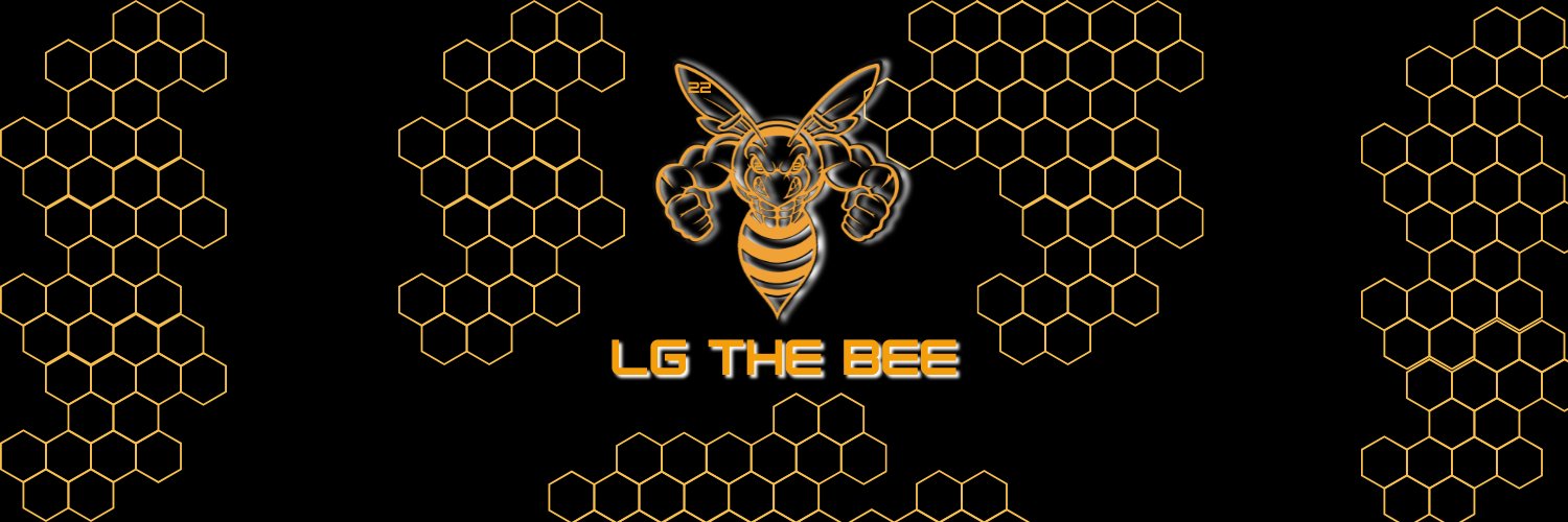 LgtheBee's profile banner image