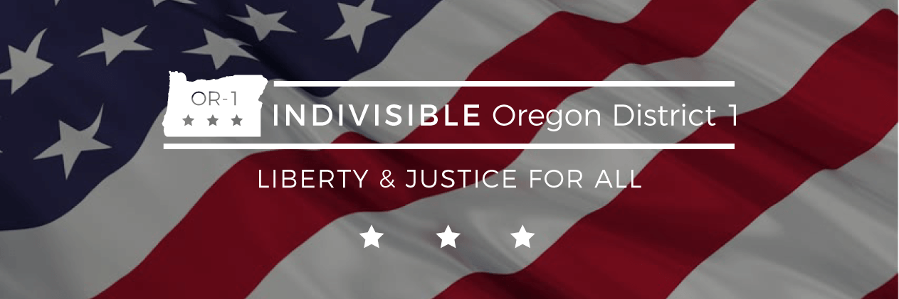 Indivisible OR-1 banner