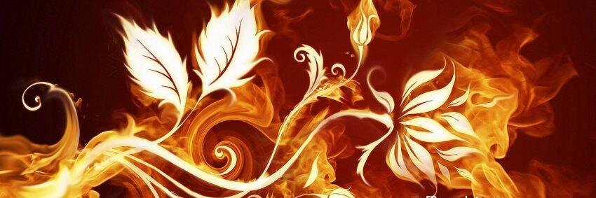 mnsh_4u's profile banner image