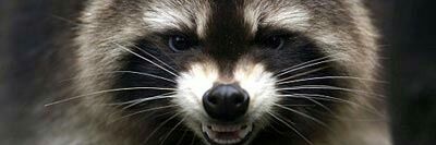 mooncommie's profile banner image