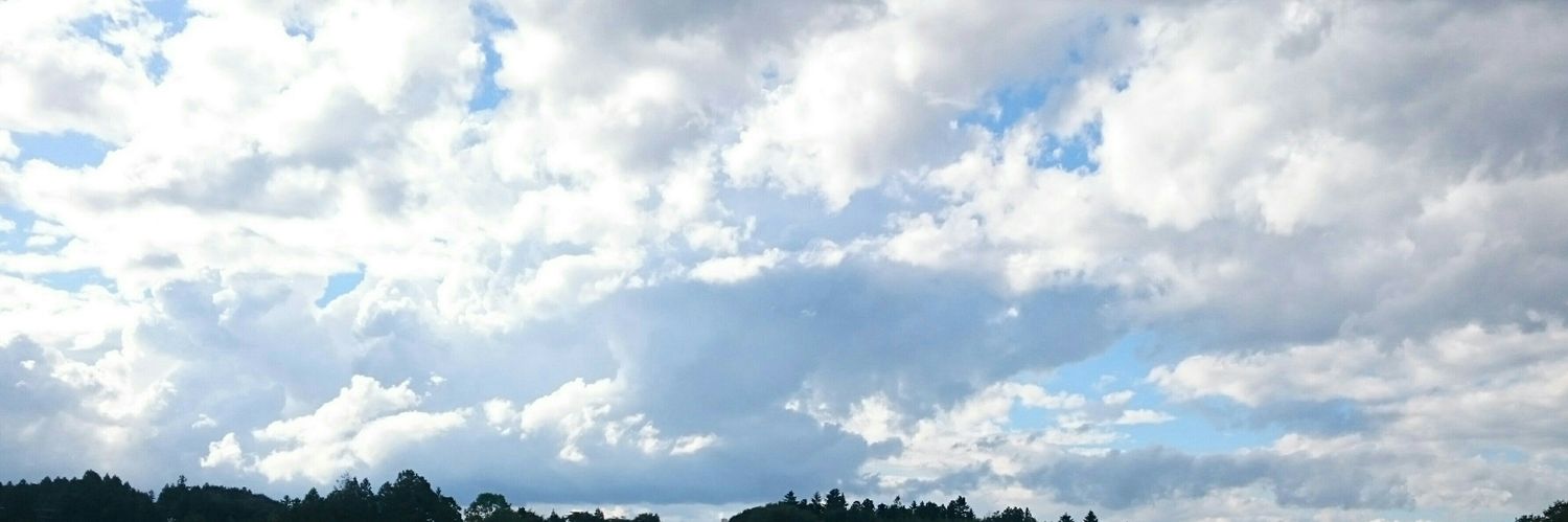 nigimochi's profile banner image