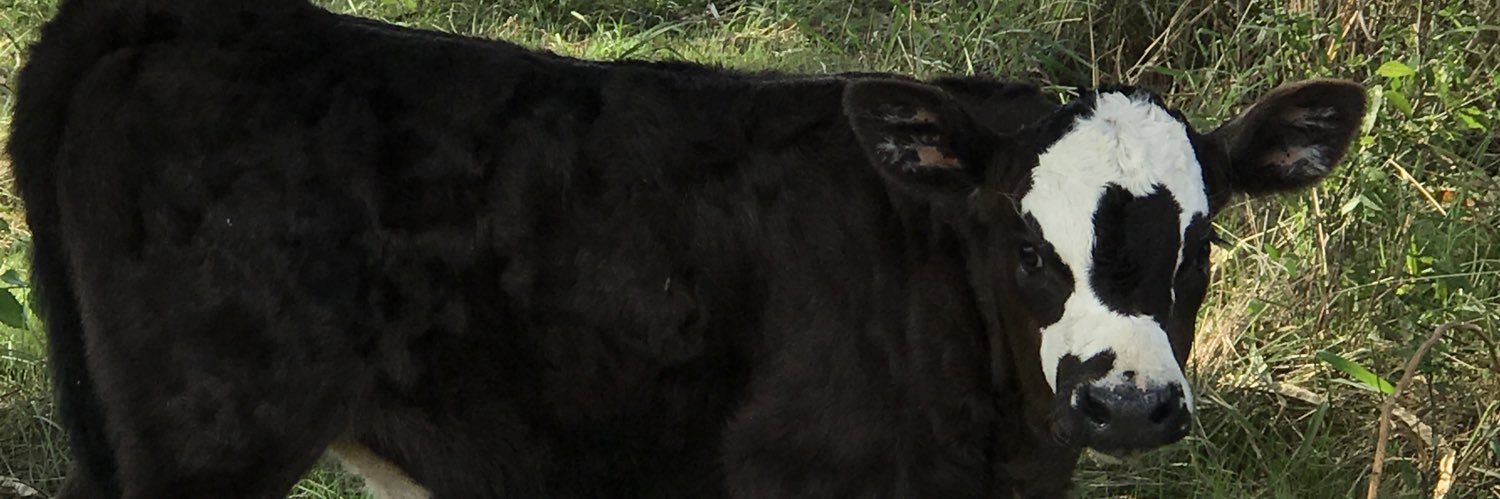 Jerry Doshier banner