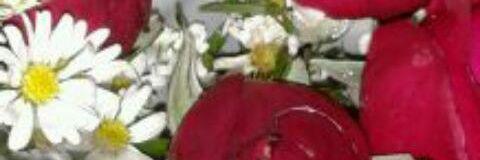 AnaraVera's profile banner image