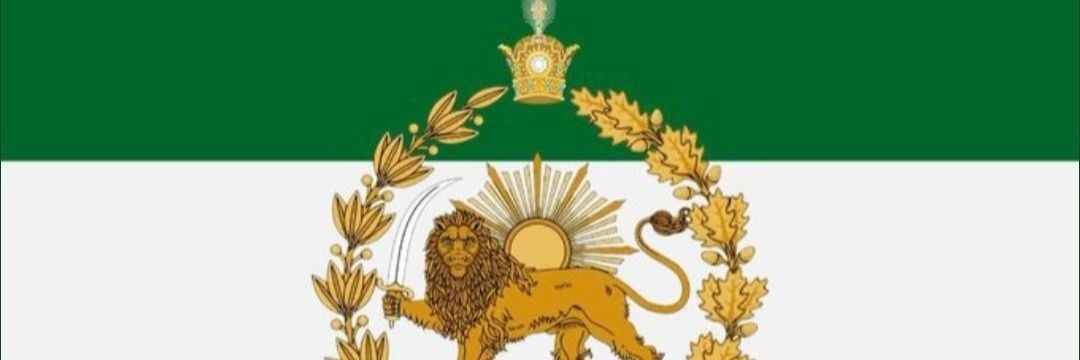 🇮🇷ArioBarzan banner