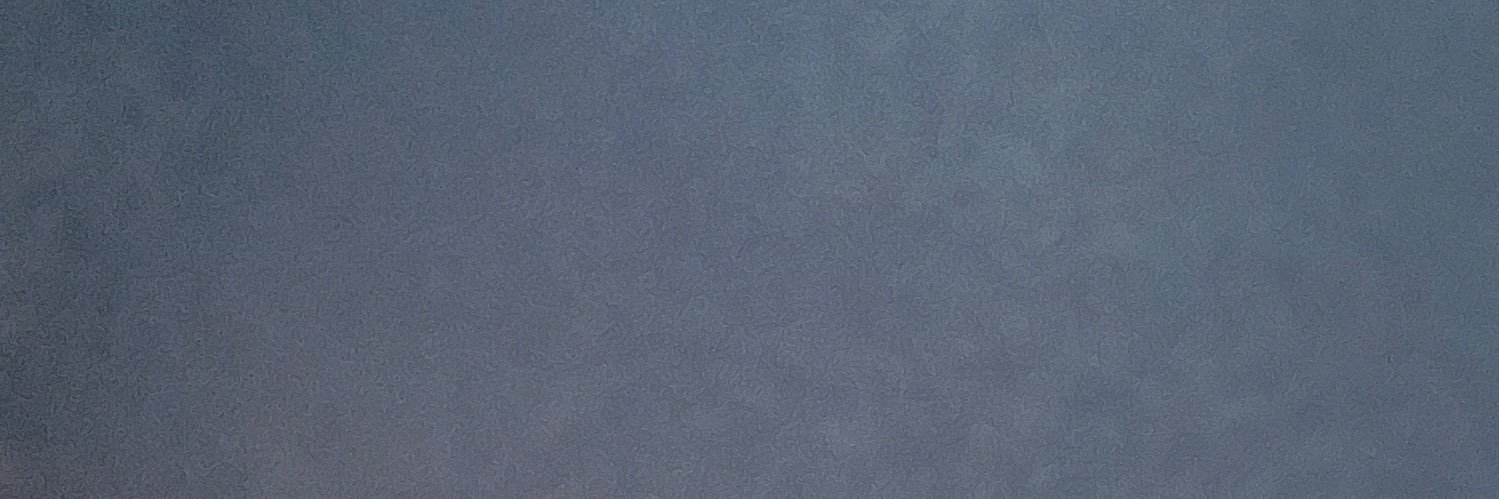 AliPhD banner