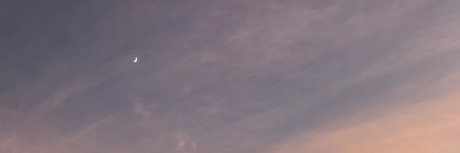 bosque_on's profile banner image