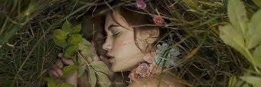 _srani13's profile banner image