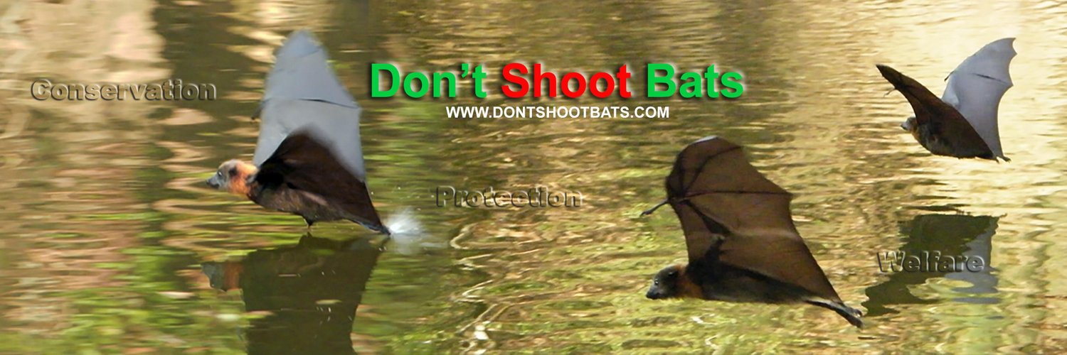 Dont Shoot Bats (DontShootBats) Twitter