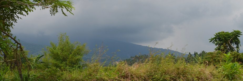 beltbb's profile banner image