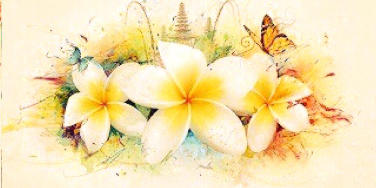 rihayaa's profile banner image
