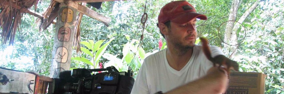 Chrisdeval's profile banner image