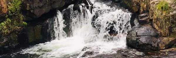 wasudigital Profile Banner