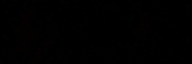 bruvtal's profile banner image