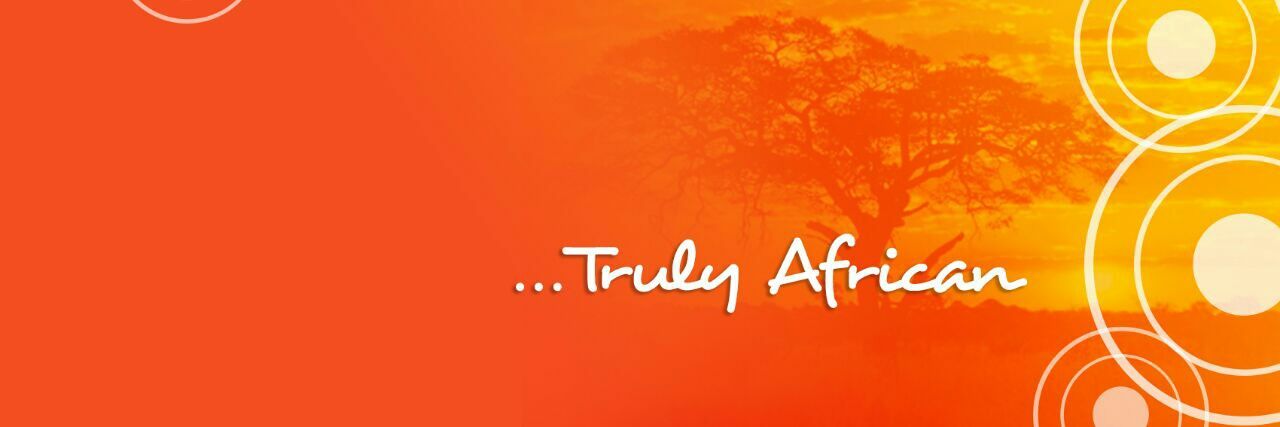 Pan African TV banner