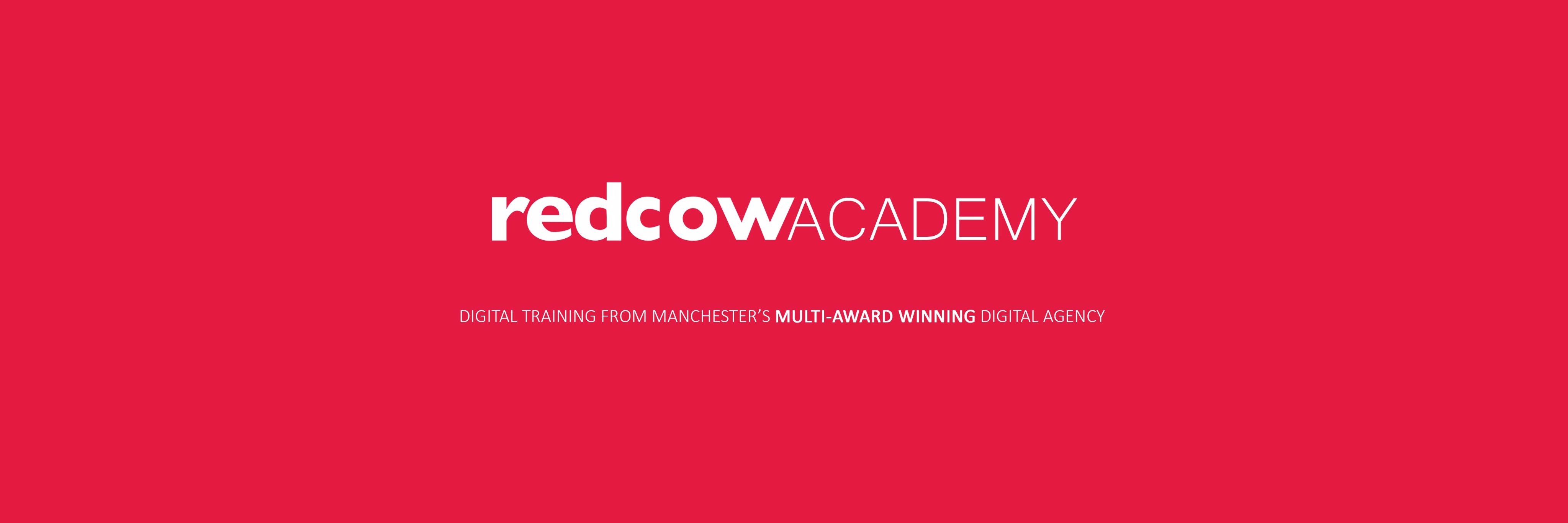 RedCowAcademy's profile banner image