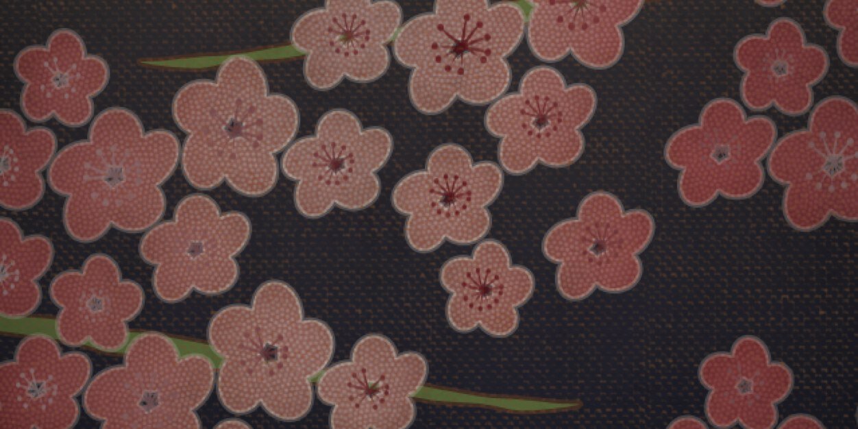 asencina's profile banner image