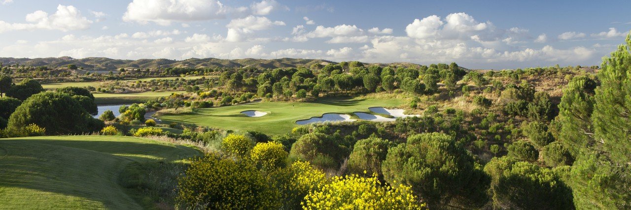 Wayne Collier banner