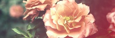 MandyNPavan's profile banner image