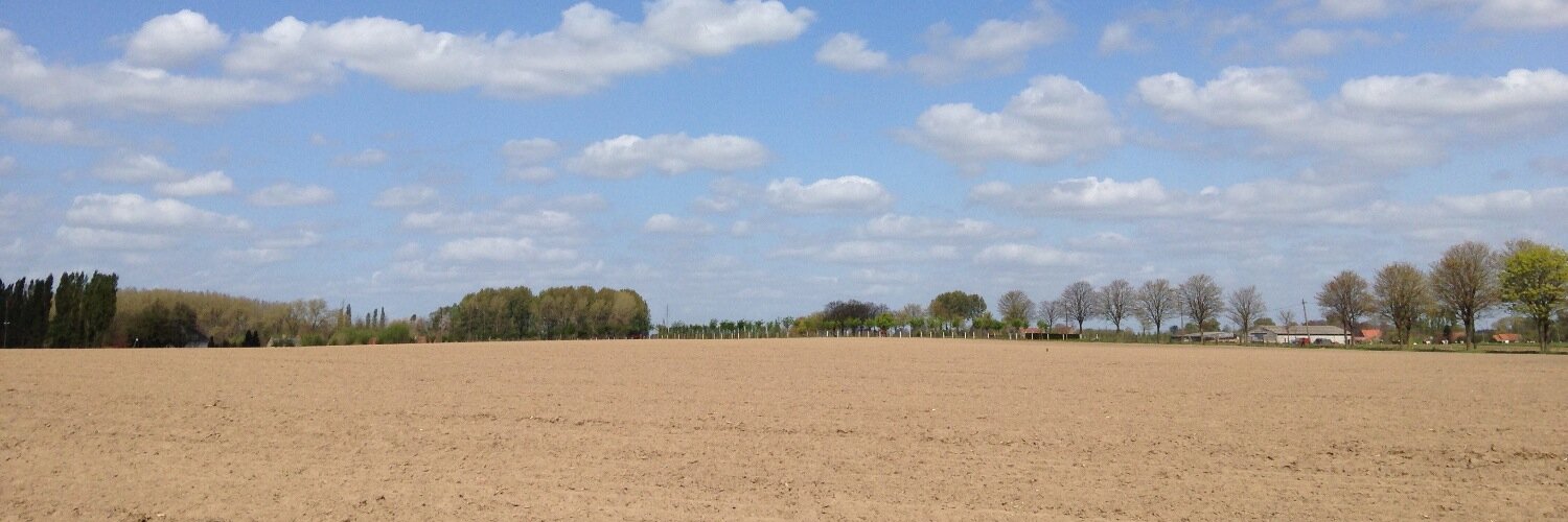 Dirk De Corte banner