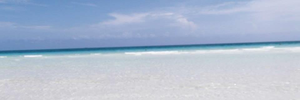 LeanneG16's profile banner image