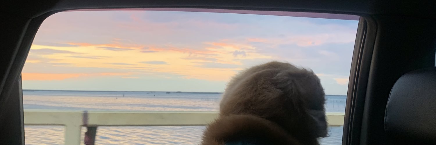 cctemm's profile banner image