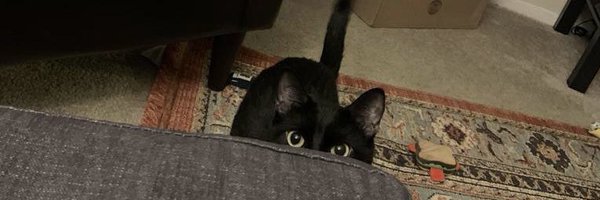 JessieHo_ Profile Banner